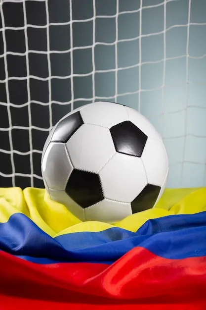 开始你的leyu体育官方体验